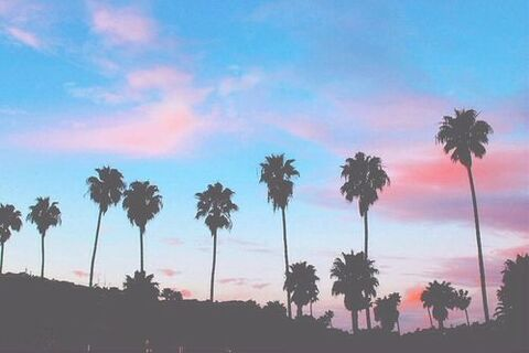 Ms. Chunkytoes619 video