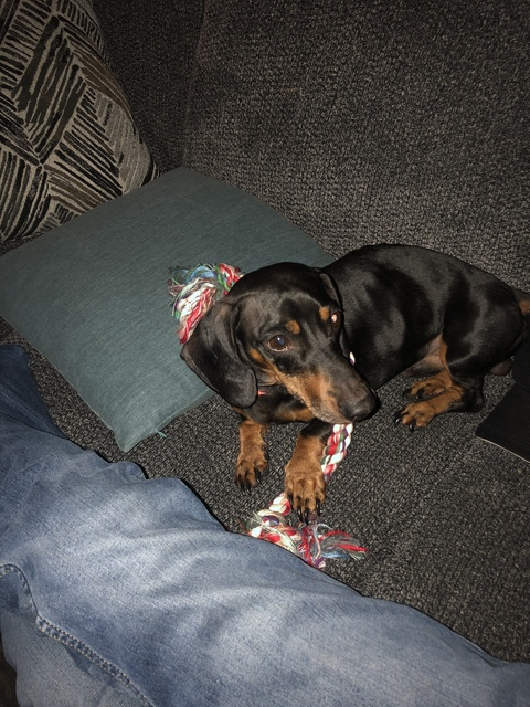 Daniel Gardner Jr. video