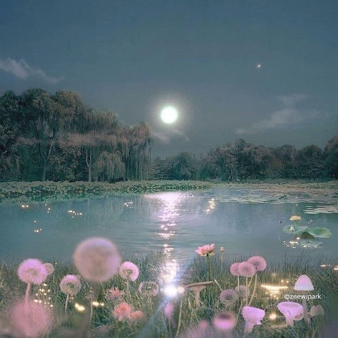 β‘βππΈπ·ππ΅π΅π²π·πβ.ΰ³ΰΏ video