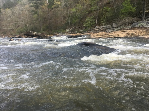 💕CarmalMadness video