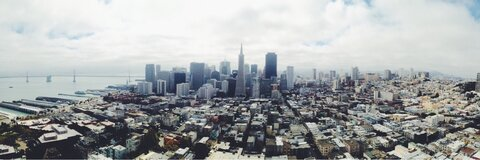 Swallow & The Swallowers video