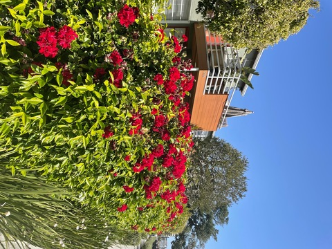 Jade Dagger π‘π€πππ΄ββ οΈ video