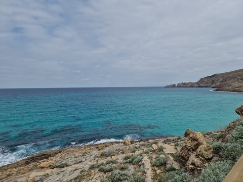 Thesweetdisaster video